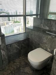 Skyline Residences (D4), Condominium #584969761